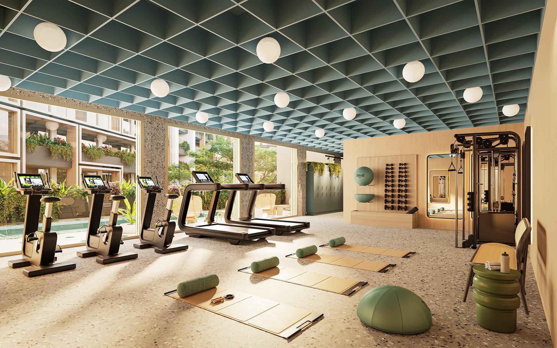 ustay-area-gimnasio